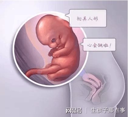 PGT胚胎实验室